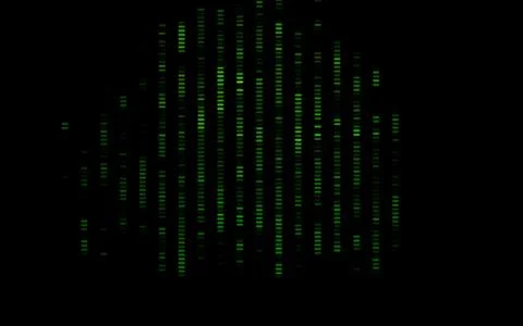 Dark Green vector pattern with narrow lines. Illustrazione stock