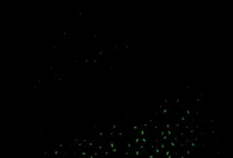 Dark Green vector sketch template. Stockillustratie