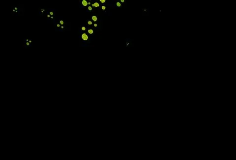 Dark Green vector template with abstract lines. 스톡 일러스트