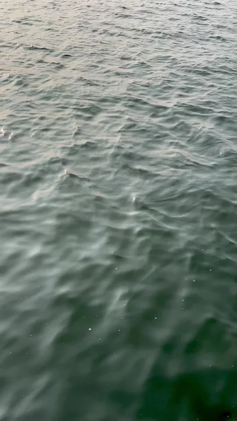 Dark Green Water Waves Surface Motion with Natural Sun Refraction Light Pattern Stock Footage 343140873