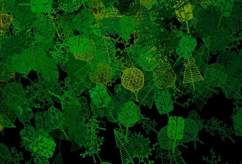 Dark Green, Yellow vector abstract backdrop with trees, branches. Stock Illustration