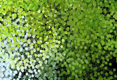 Dark Green, Yellow vector background with bubbles. Stock Illustration