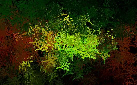 Dark Green, Yellow vector doodle pattern with trees, branches. 库存插图