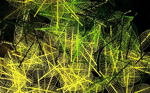 Dark Green, Yellow vector doodle pattern with leaves. Illustrazione stock
