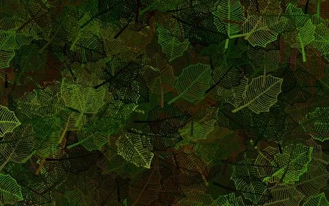 Dark Green, Yellow vector doodle pattern with leaves. Illustrazione stock