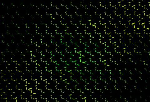 Dark Green, Yellow vector pattern with sharp lines. 스톡 일러스트