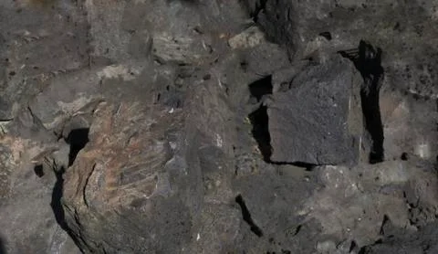 Dark grey black slate background or texture. Stock Photos