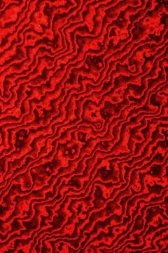 Dark grey layout on solid sheet of wallpaper 库存插图