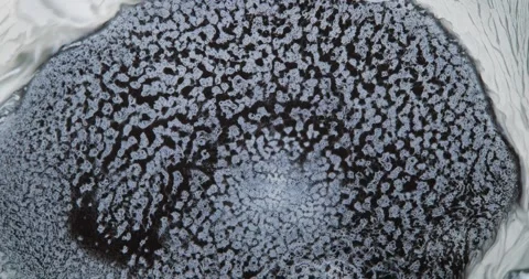 Dark Grey Particles Swirling in Fluid Create Volcanic Crater-Like Pattern in Stock Footage 306933616