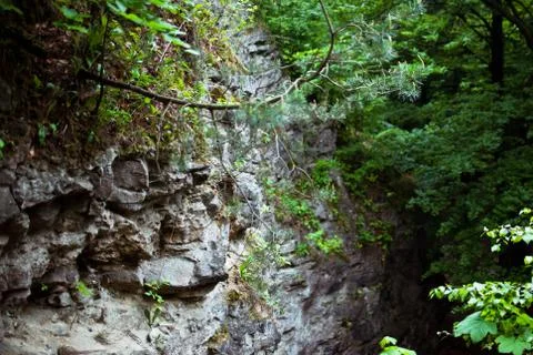 Dark grey rock with green trees in the summer forest outside the city.  Stock Photos