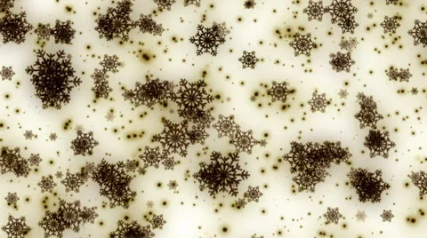 Dark Grey Sepia Falling Snowflakes Loop Background Stock Footage 63866705