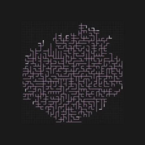 Dark Grid Background Animation: Abstract Digital Pattern with Subtle Lines Stock Footage 347804291
