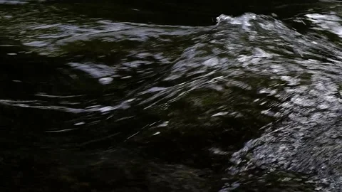 Dark gushing stream - Close Up - Slow Motion Stock Footage 244180918