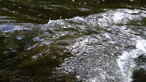 Dark gushing stream, Conflicting Current - Close Up - Slow Motion Stock Footage 244180975
