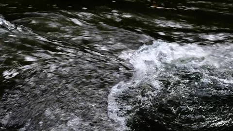 Dark gushing stream, Currents battle - Close Up - Slow Motion Stock Footage 244181018