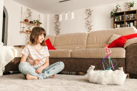 A dark-haired girl sits on the carpet in the living room and plays with a toy Stock Photos