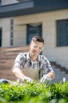 Dark-haired male in protective glasses and gloves pruning bushes in the yard Stock Photos