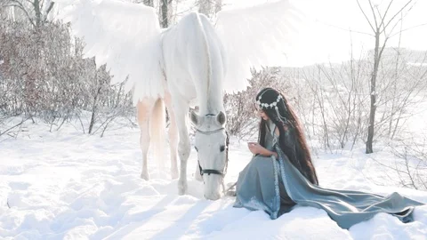 Dark-haired princess is sitting in the snow in frosty weather, a girl in a long Stock Footage 104474522