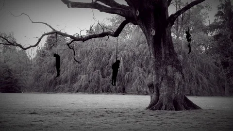 Dark hangman tree Video stock 74427796
