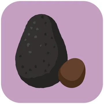 Dark hass avocado fruit with seed icon Stock Illustration