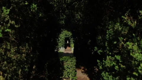 Dark hedge maze path with sunlit arch Stock Footage 337911008
