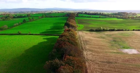 THE DARK HEDGES AERIAL Stock Footage 81278481
