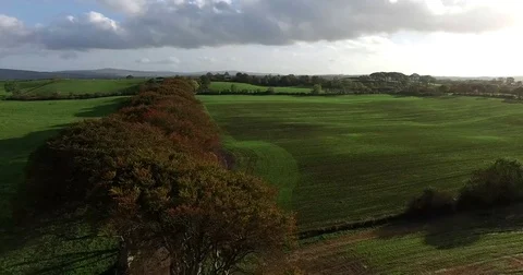 The Dark Hedges Stock Footage 81260695