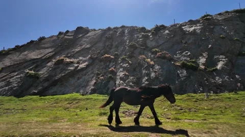 Dark Horse Mountain Path Stock Footage 337864781