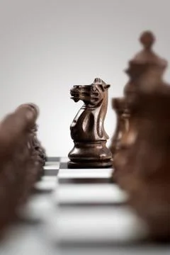 Dark horse. Stock Photos