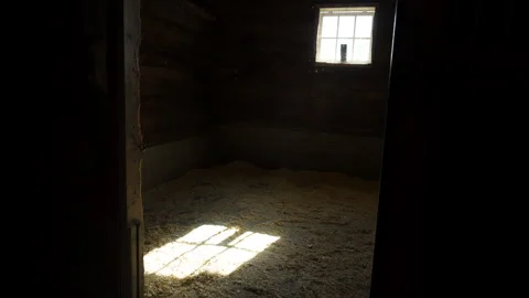 Dark horse stall interior, rustic wooden barn room with light through a small Stock Footage 321040298