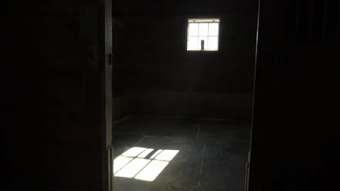 Dark horse stall interior, rustic wooden barn room with light streaming through Stock Footage 321115231