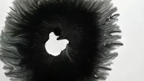 Dark ink bloom with central void spreads outward in fine radial streaks Video stock 308731061