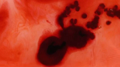 Dark ink falling on red watery blood background Video stock 72287967