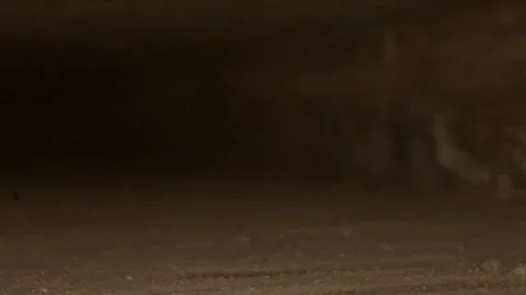 Dark inside of a wooden area filled with dust and cobwebs, scary Stock Footage 257547630
