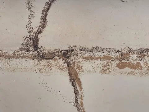 Dark intersecting lines on wall suggesting termite mud tubes or grime 스톡 사진