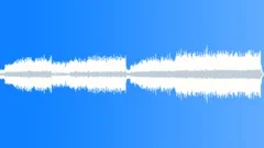 THE DARK LADY - AN ALBUM OF BLUES MUSIC WITH A TWIST!Stock Music