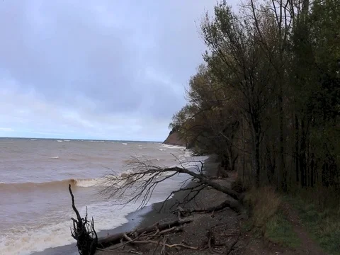 Dark lake Stock Footage 81331355