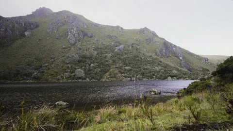 Dark lake on the top of a cloudy mountain full of vegetation in Paramo Vídeo Stock 142939371