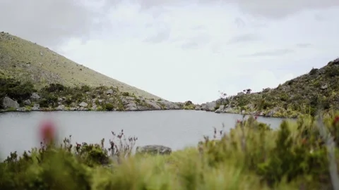 Dark lake on the top of a mountain full of vegetation in Paramo Santurban, Vídeo Stock 142938997
