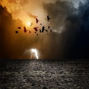 Dark landscape イラスト素材