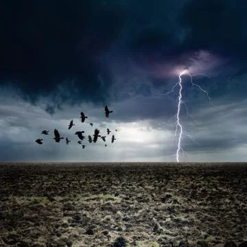 Dark landscape Stock Photos