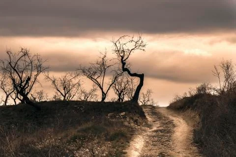 Dark landscape Stock Photos