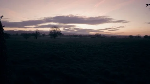 Dark landscape view of grass with colourful sun rising setting on horizon. Video stock 87111347