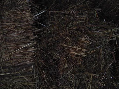Dark large haystack close-up texture Foto stock