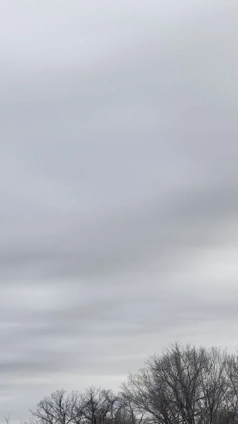 Dark Layered Clouds Above Winter Trees Видео 344807466