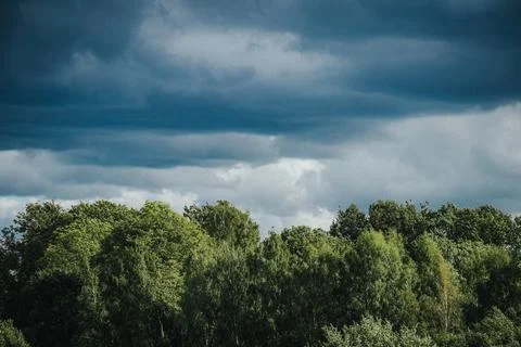 Dark, layered storm clouds tower over lush green trees. Stock Photos
