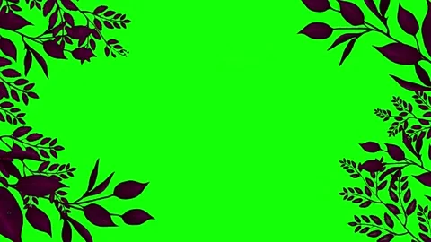 Dark Leaf Silhouette Corner Border Frame on Green Screen Chroma Key Stock Footage 336662499