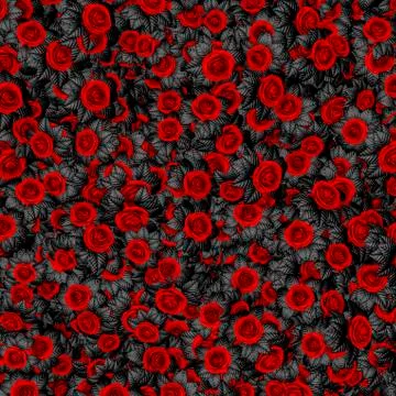 Dark leaved roses background Illustrazione stock