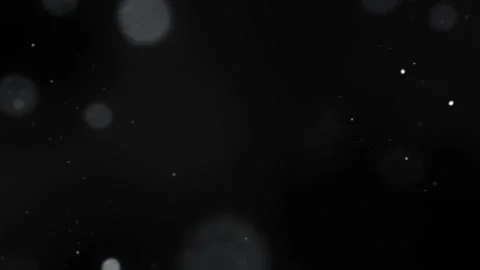 Dark Lights Bokeh Effect Overlay For Wedding Stock-Footage 175497458