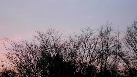 Dark Limbs Stock Footage 131584067